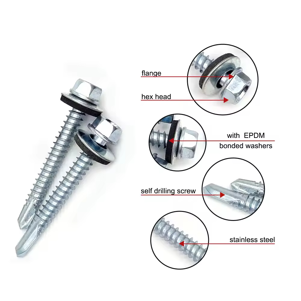 ��ҳ| 88858cc���������й����ٷ���վ